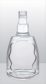 RS-G-045 500ml